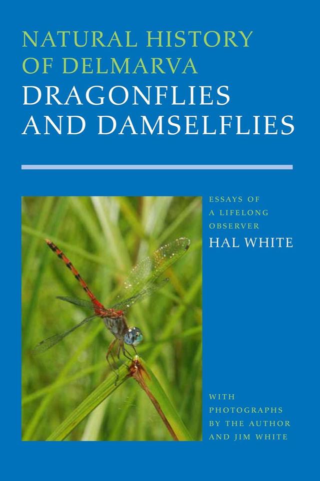 Natural History of Delmarva Dragonflies and Damselflies by Harold B. White III