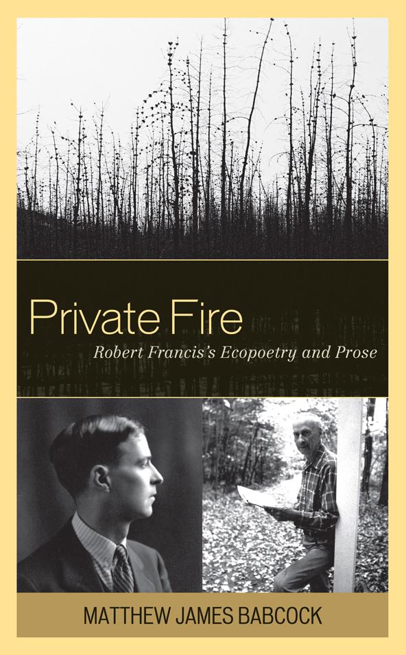 Private Fire by Matthew James Babcock