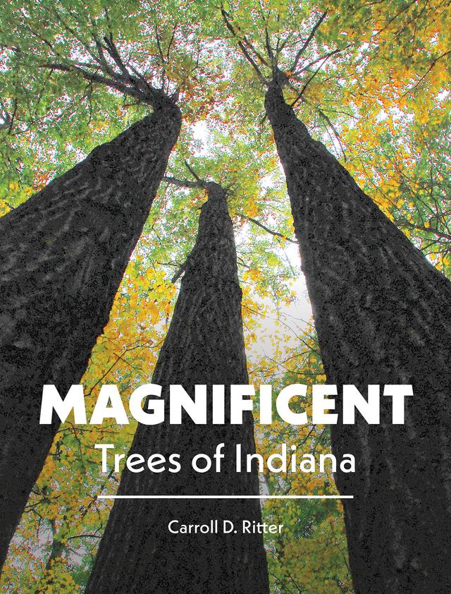 Magnificent Trees of Indiana by Carroll D. Ritter