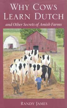Why Cows Learn Dutch by Randy James