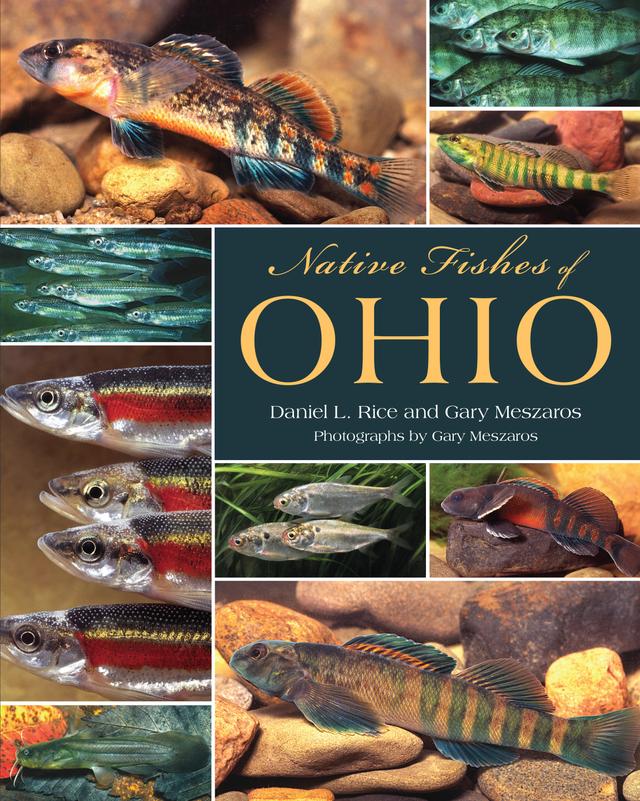 Native Fishes of Ohio by Daniel L. Rice, Gary Meszaros