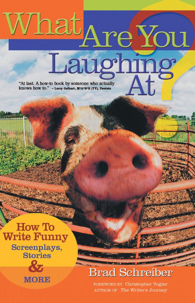 What Are You Laughing At? by Brad Schreiber