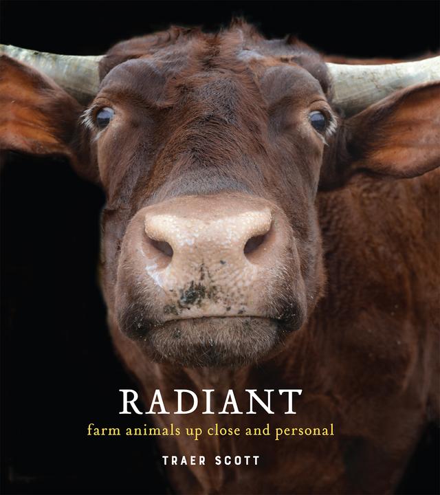Radiant by Traer Scott