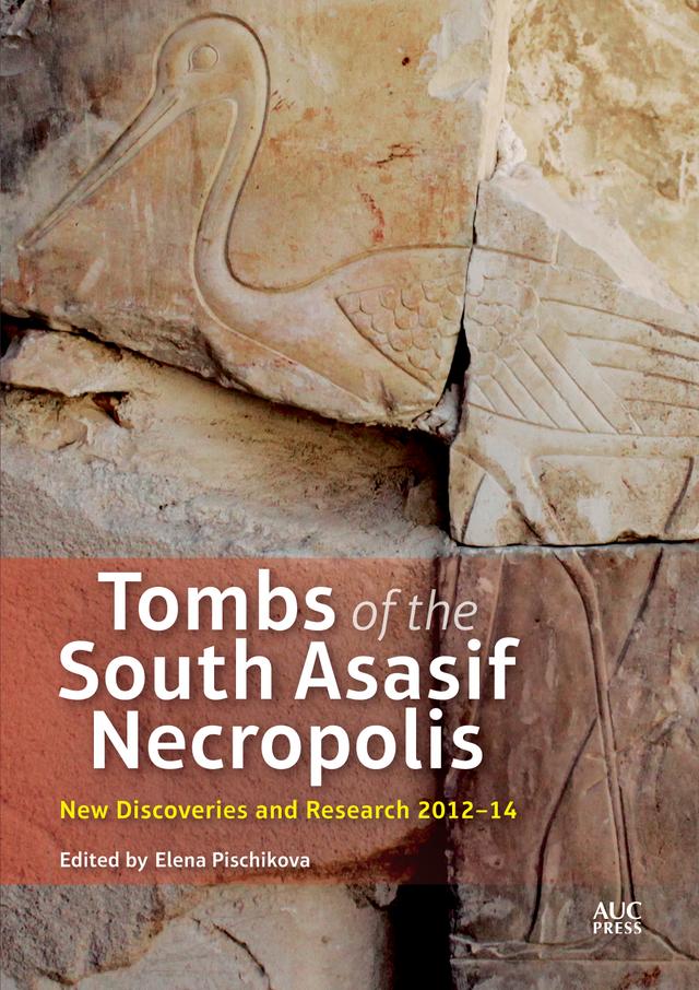 Tombs of the South Asasif Necropolis by Elena Pischikova