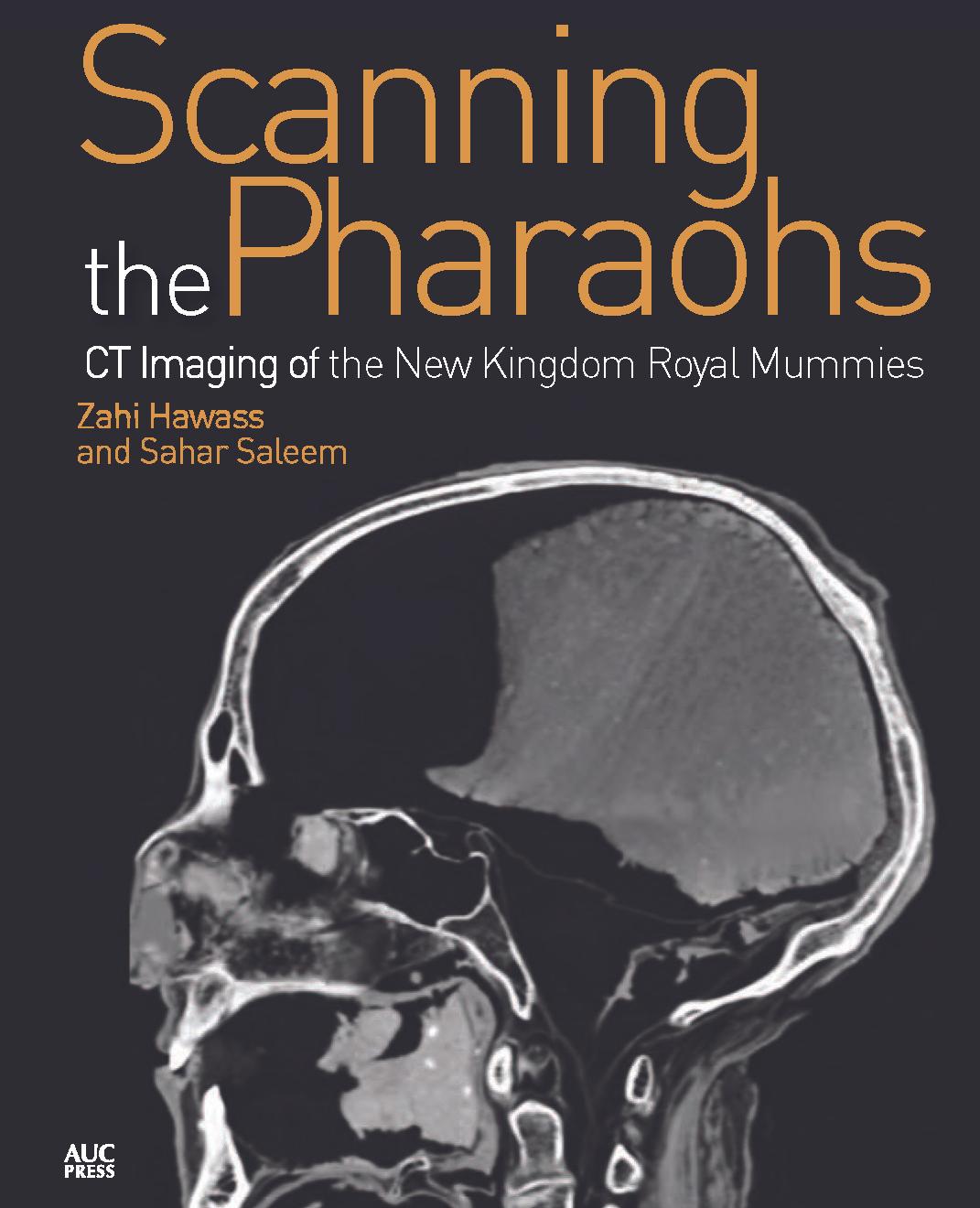 Scanning the Pharaohs