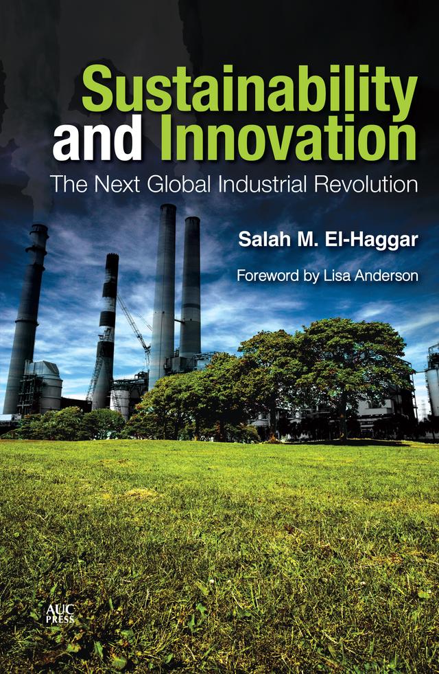 Sustainability and Innovation by Lisa Anderson, Salah M. El-Haggar