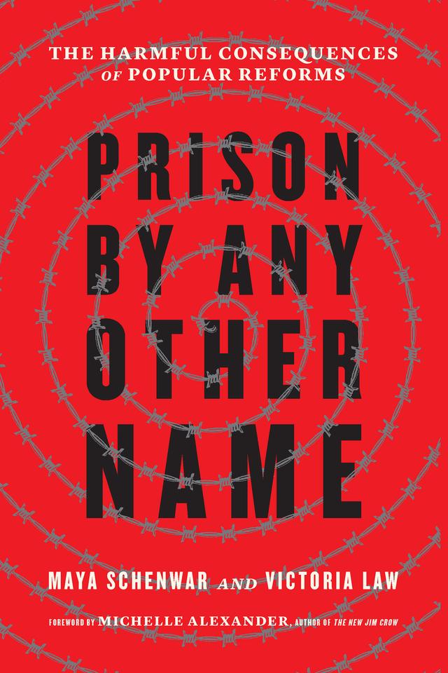Prison by Any Other Name by Maya Schenwar