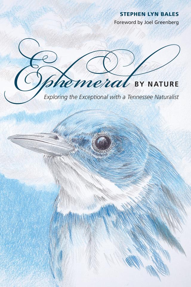 Ephemeral by Nature by Stephen Lyn Bales