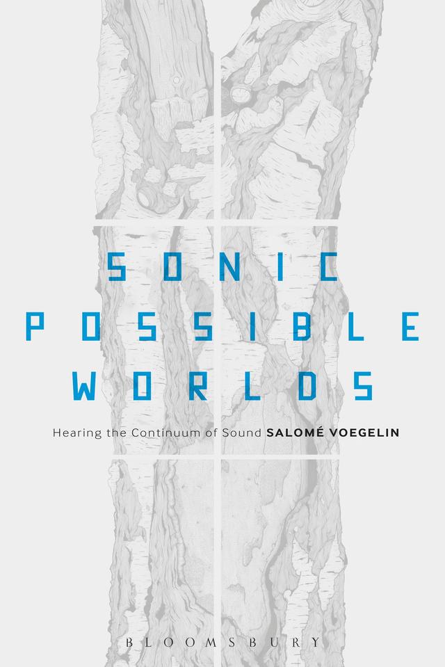 Sonic Possible Worlds by Salomé Voegelin