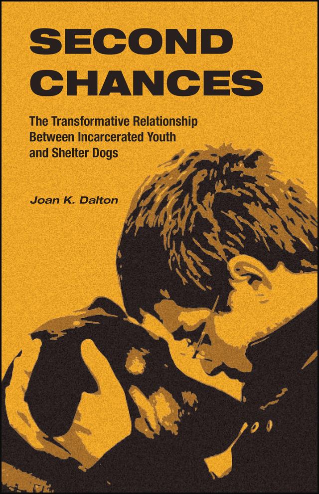 Second Chances by Joan K. Dalton
