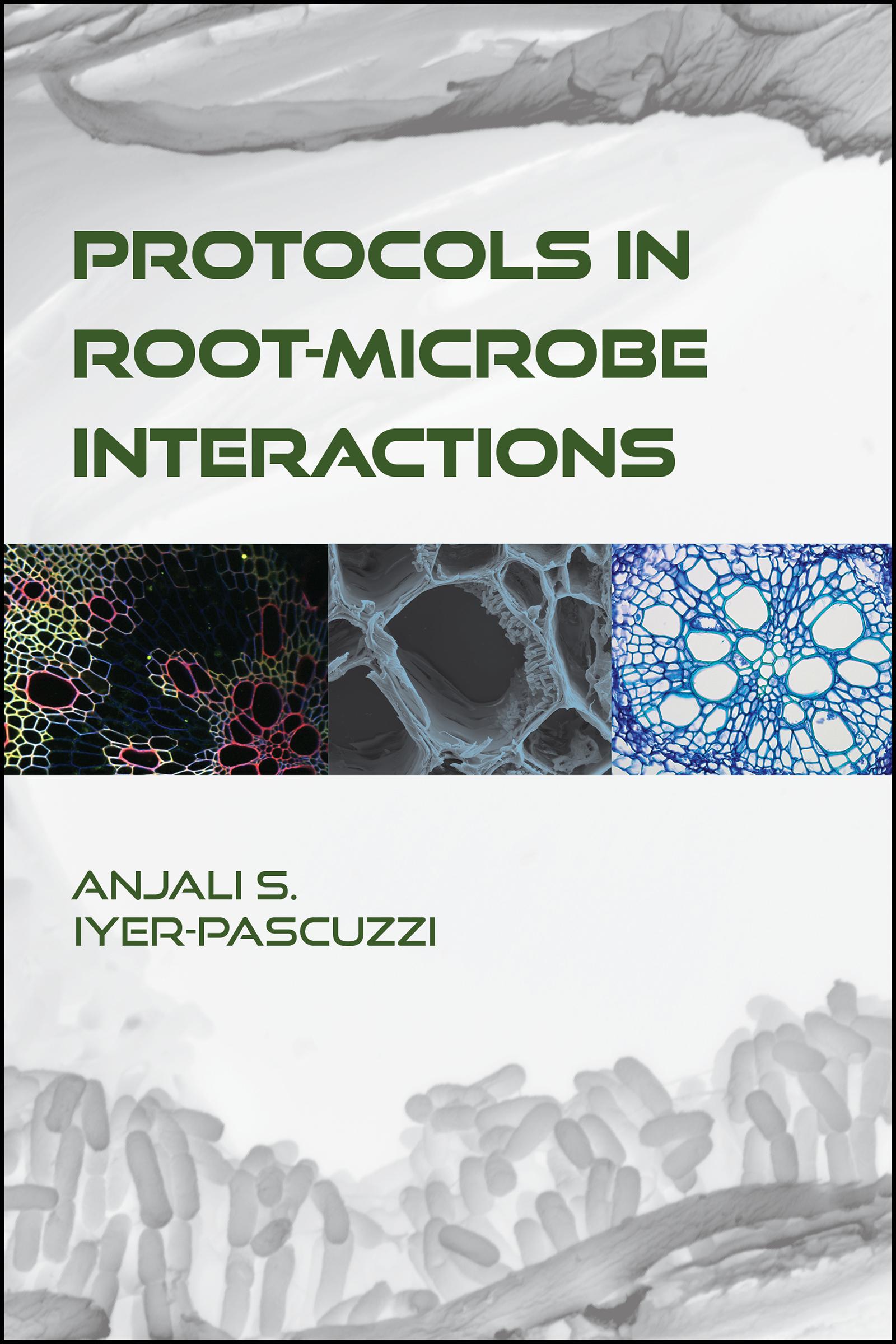 Protocols in Root-Microbe Interactions