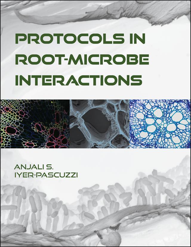 Protocols in Root-Microbe Interactions by Anjali S. Iyer-Pascuzzi
