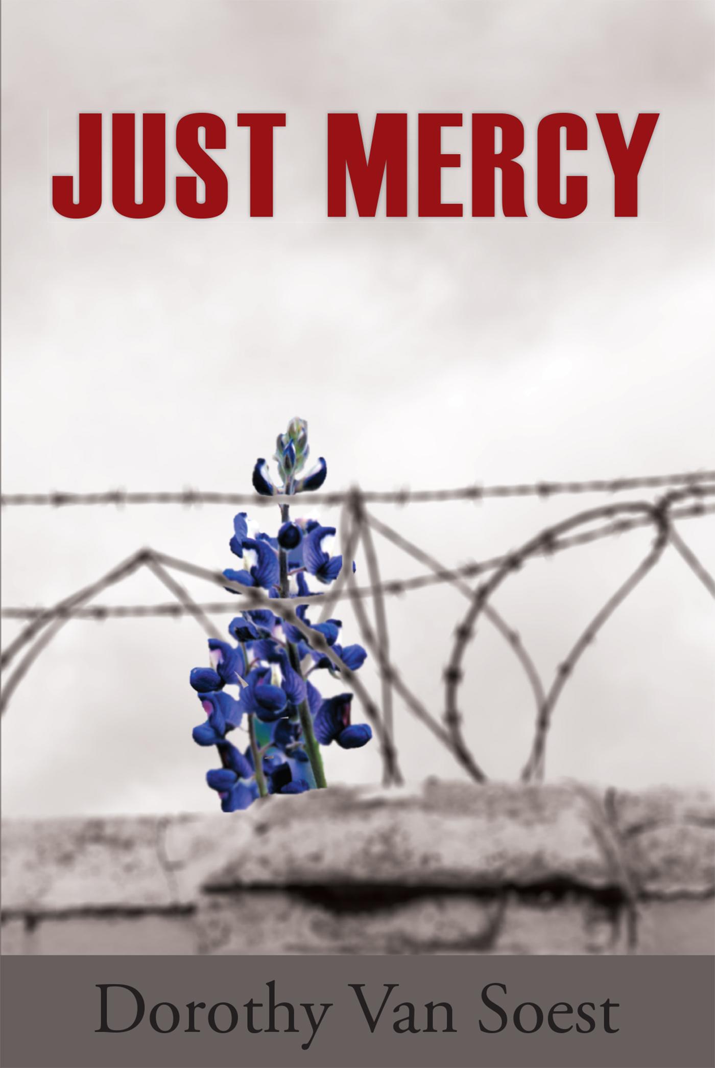 Just Mercy