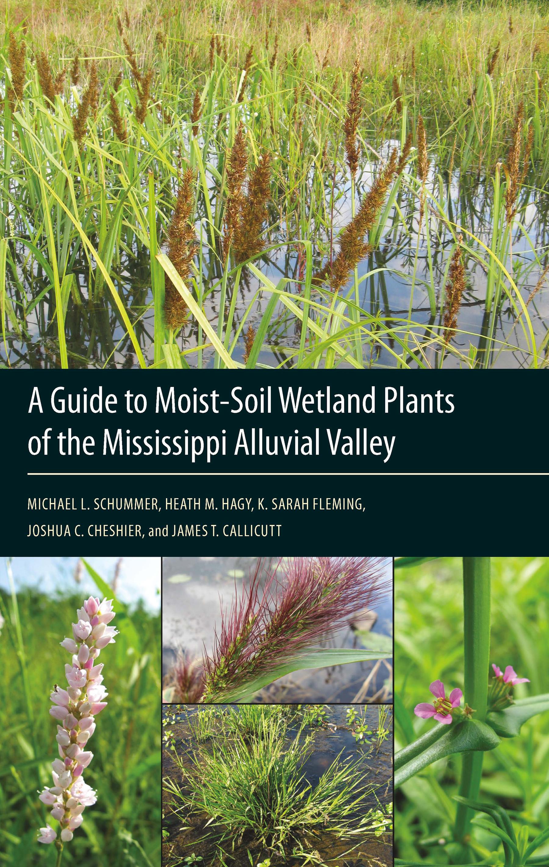 A Guide to Moist-Soil Wetland Plants of the Mississippi Alluvial Valley