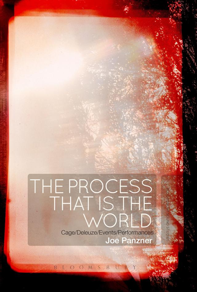 The Process That Is the World by Joe Panzner