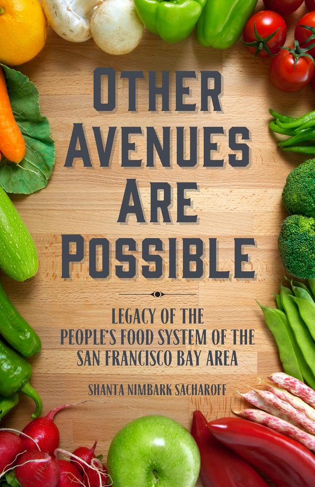 Other Avenues Are Possible by Shanta Nimbark Sacharoff