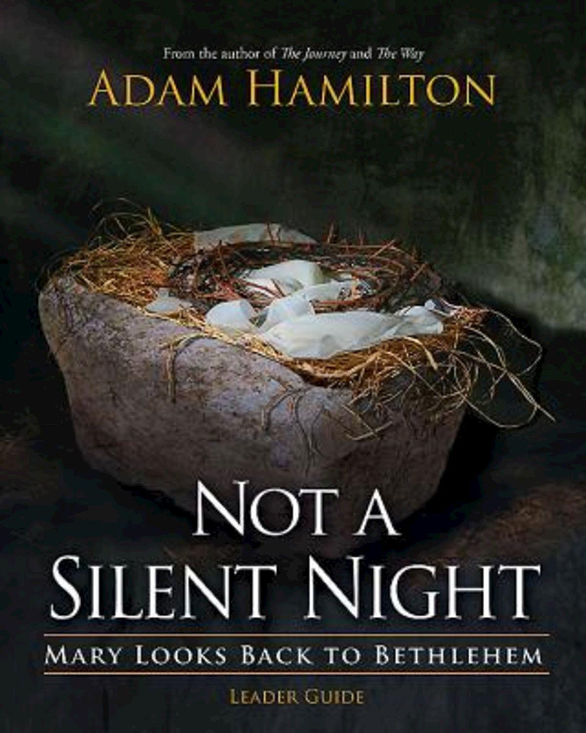 Not a Silent Night Leader Guide
