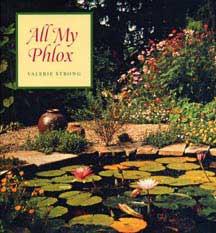 All My Phlox by Valerie Strong