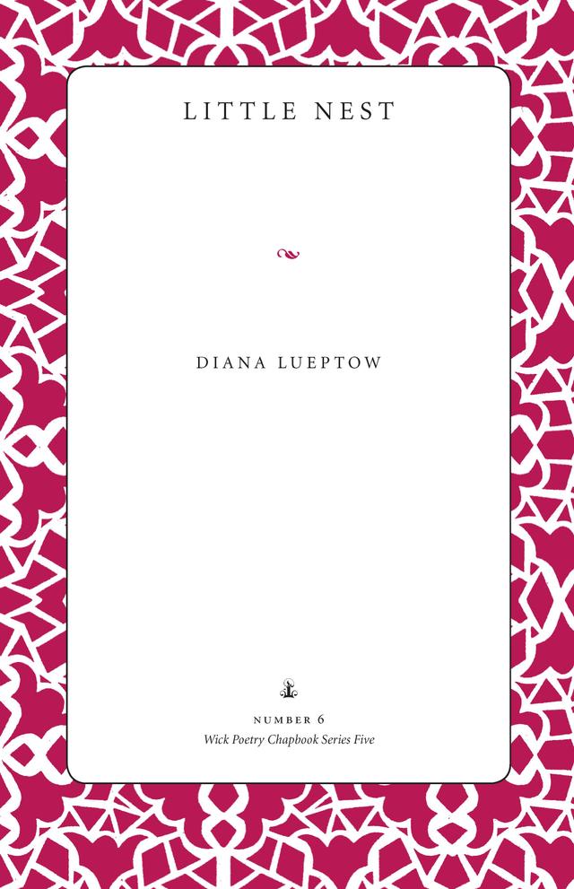 Little Nest by Diane Lueptow
