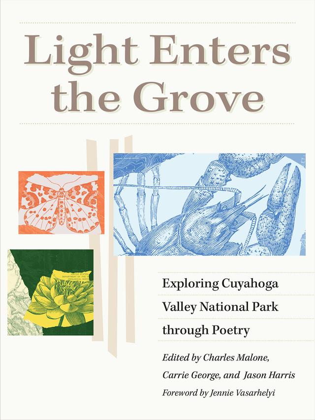 Light Enters the Grove by Carrie George, Charles Malone