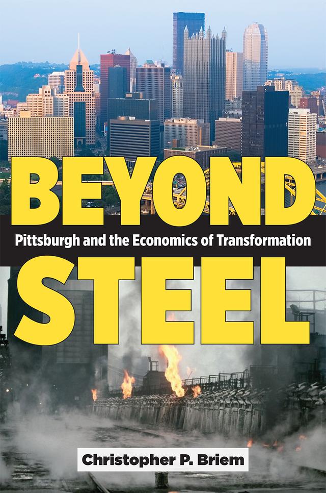 Beyond Steel by Christopher P. Briem