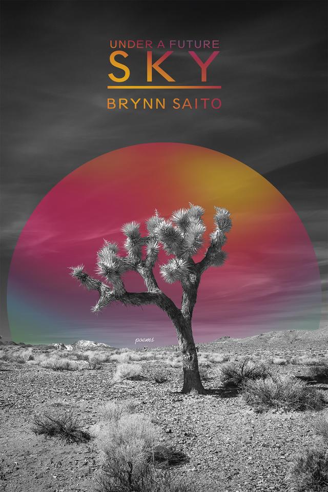 Under a Future Sky by Brynn Saito
