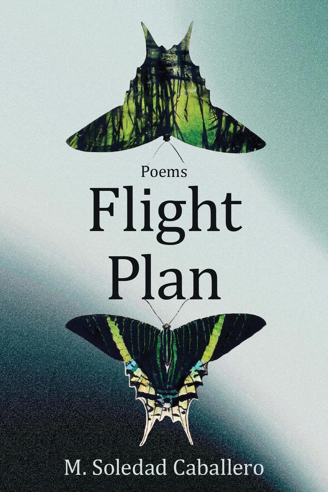 Flight Plan by M. Soledad Caballero