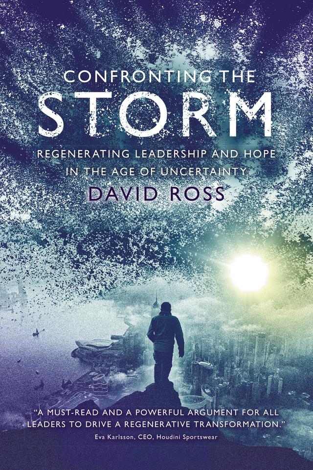 Confronting the Storm by David Ross
