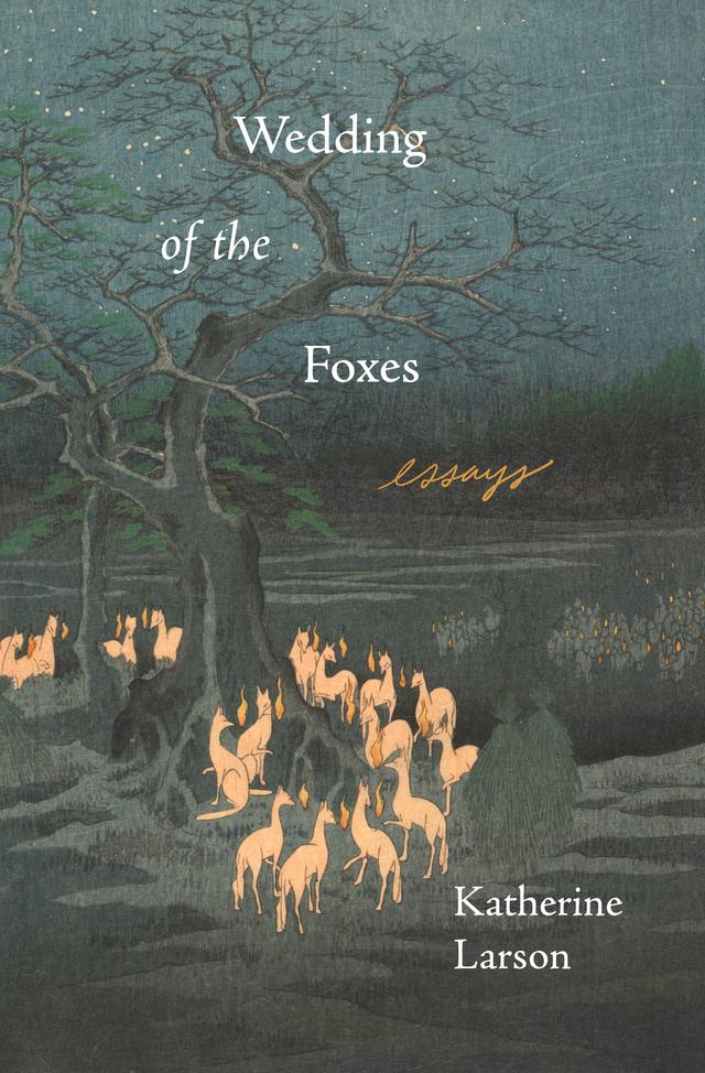 Wedding of the Foxes by Katherine Larson