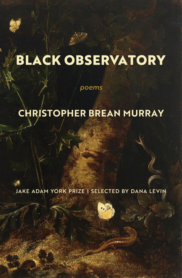 Black Observatory by Christopher Brean Murray