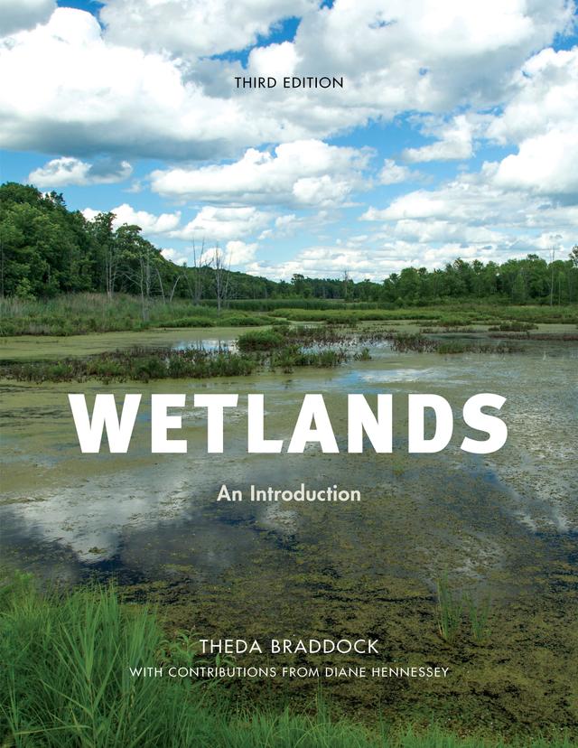 Wetlands by Dianne Hennessey, Theda Braddock