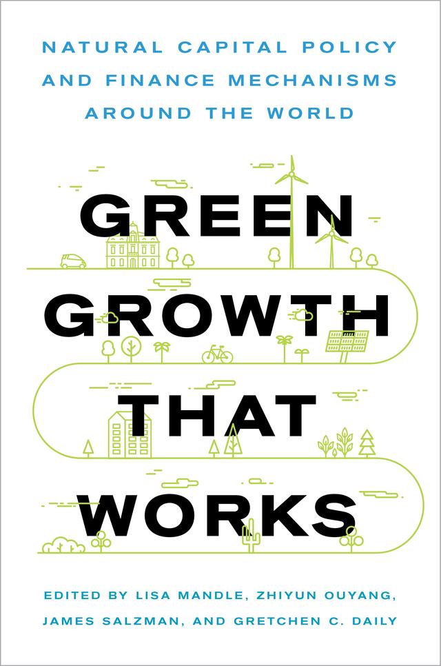 Green Growth That Works by Gretchen Cara Daily, James Edwin Salzman, Lisa Ann Mandle, Zhiyun Ouyang