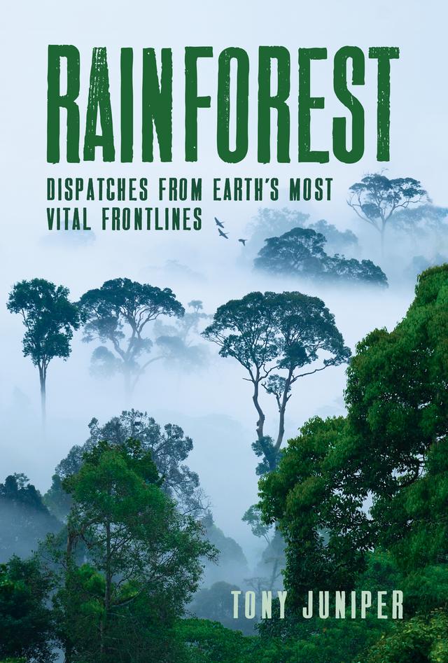 Rainforest by Tony Juniper