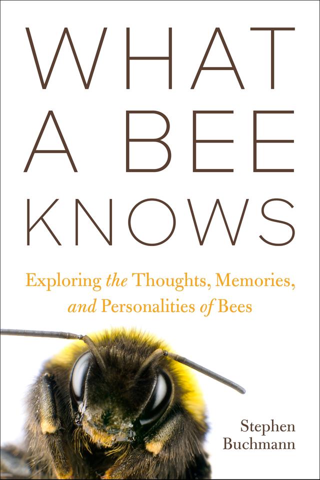 What a Bee Knows by Stephen L. Buchmann