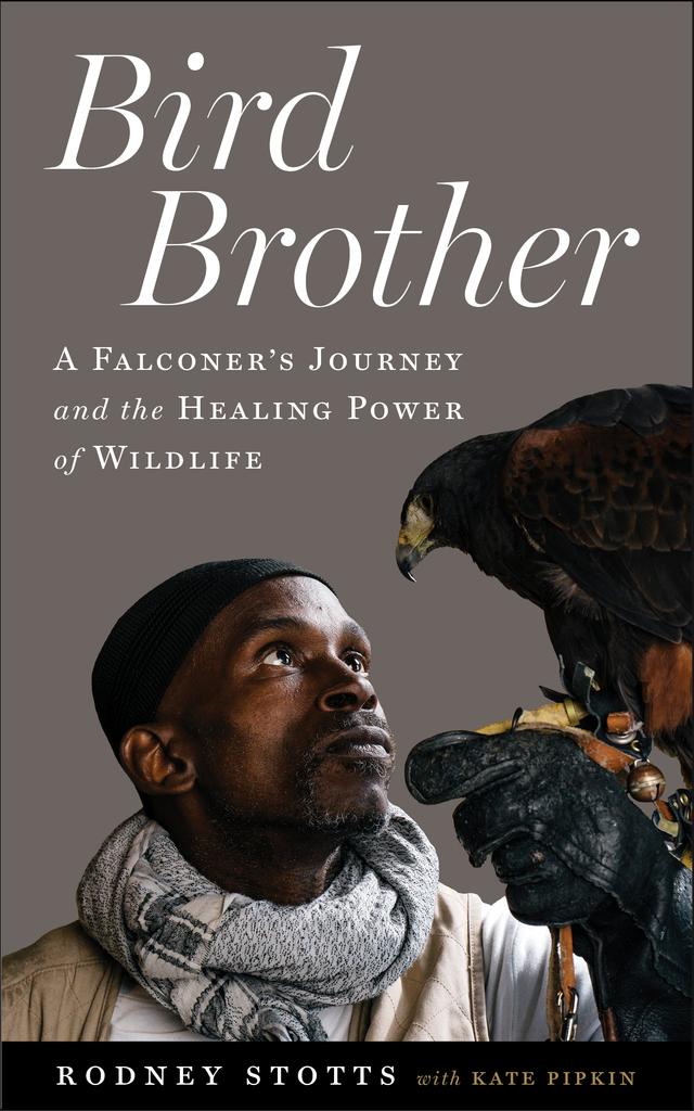 Bird Brother by Kate Pipkin, Rodney Stotts
