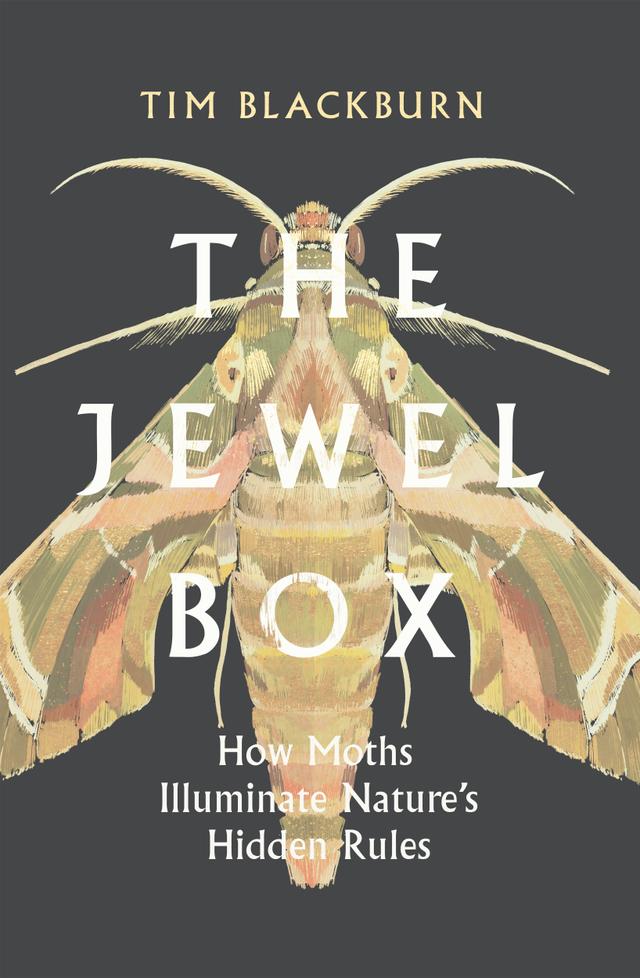 The Jewel Box by Tim Blackburn