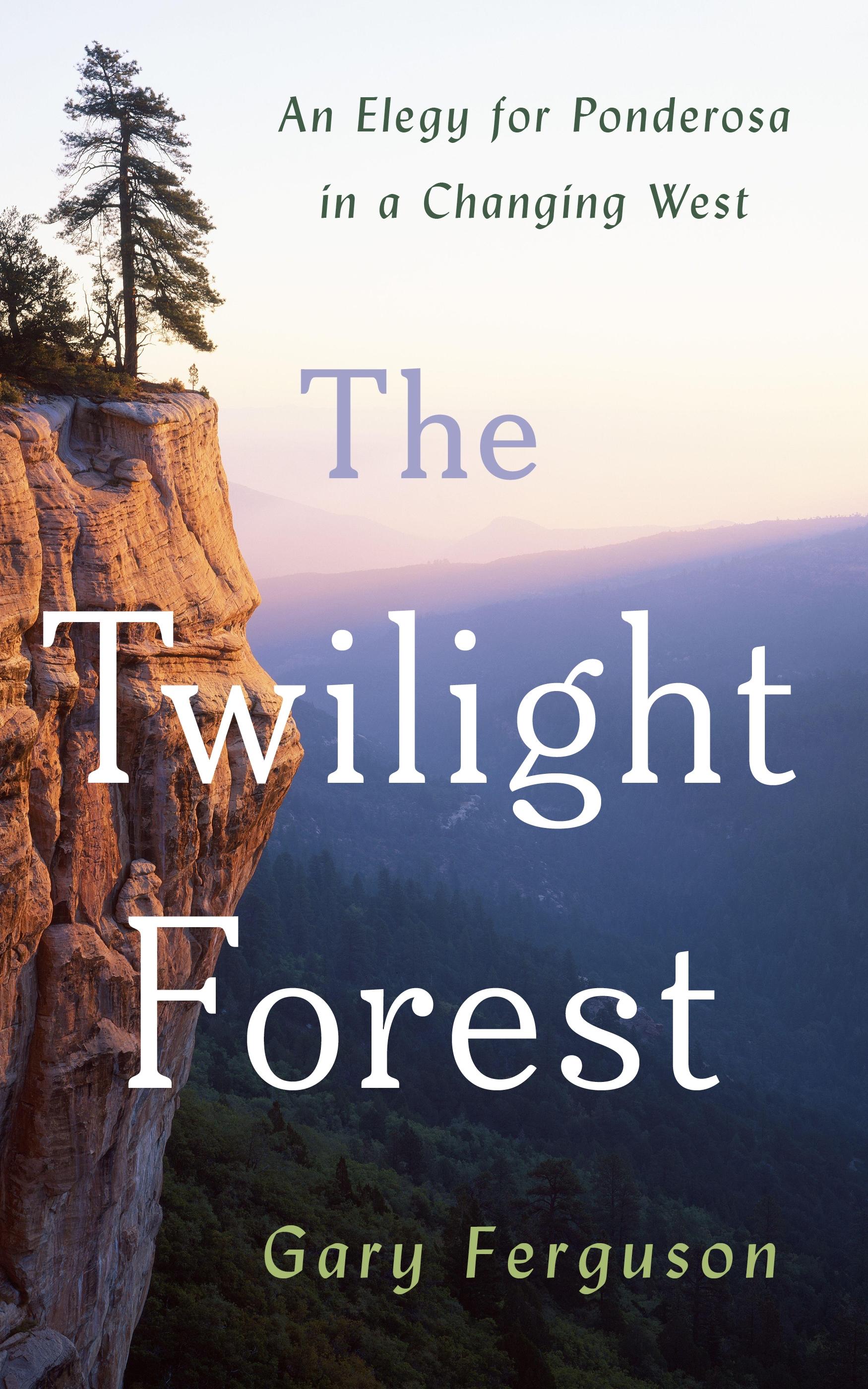 The Twilight Forest