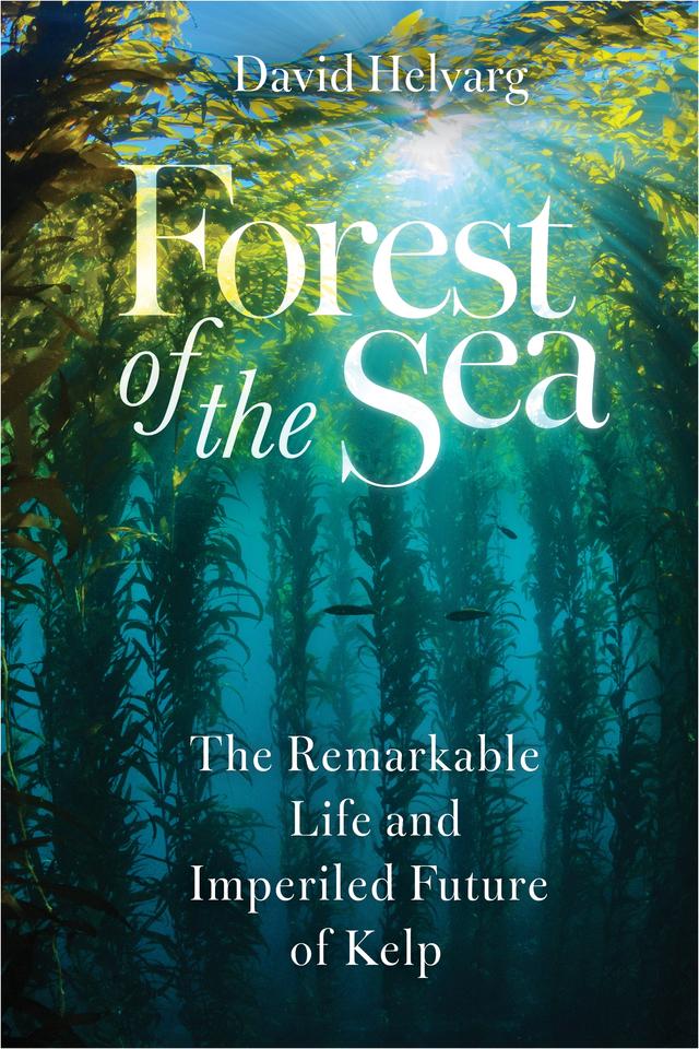 Forest of the Sea by David Helvarg
