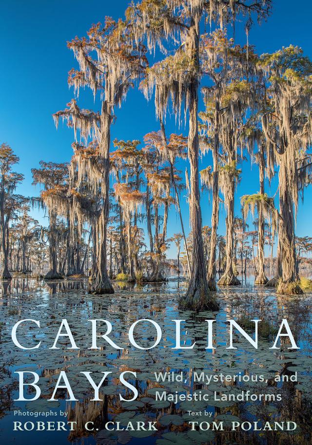 Carolina Bays by Robert C. Clark, Stephen H. Bennett, Tom Poland