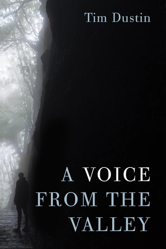 A Voice from the Valley by Tim Dustin