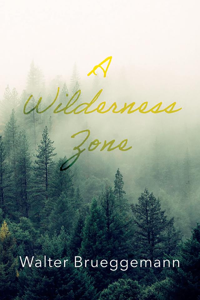 A Wilderness Zone by Walter Brueggemann