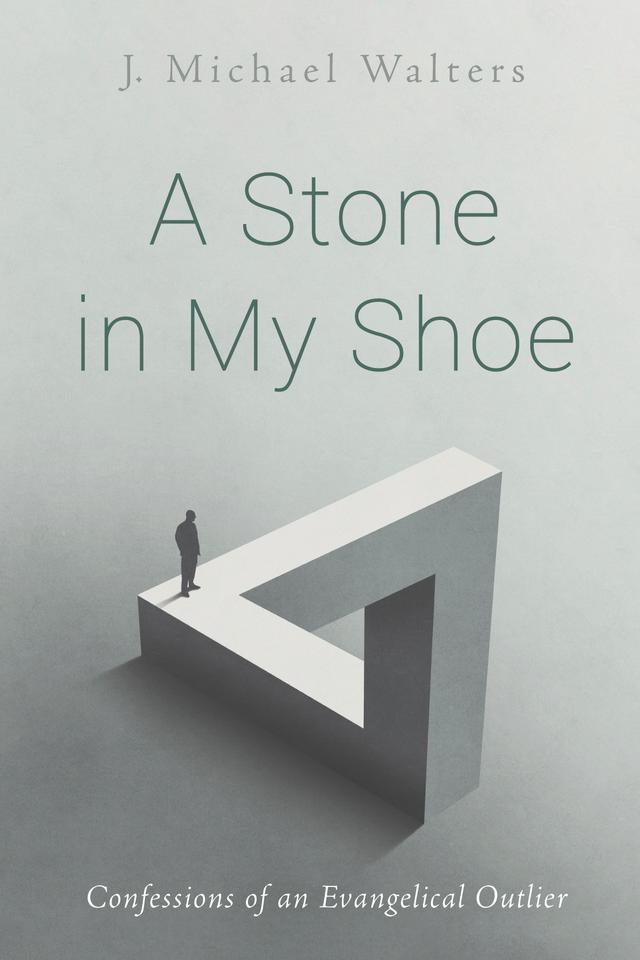 A Stone in My Shoe by J. Michael Walters