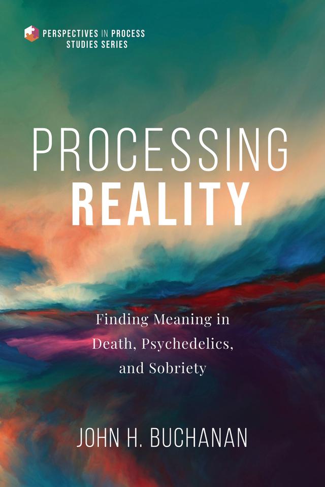 Processing Reality by John H. Buchanan