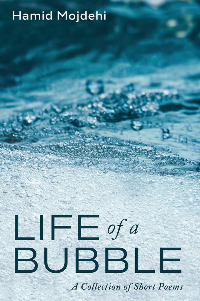 Life of a Bubble by Hamid Mojdehi