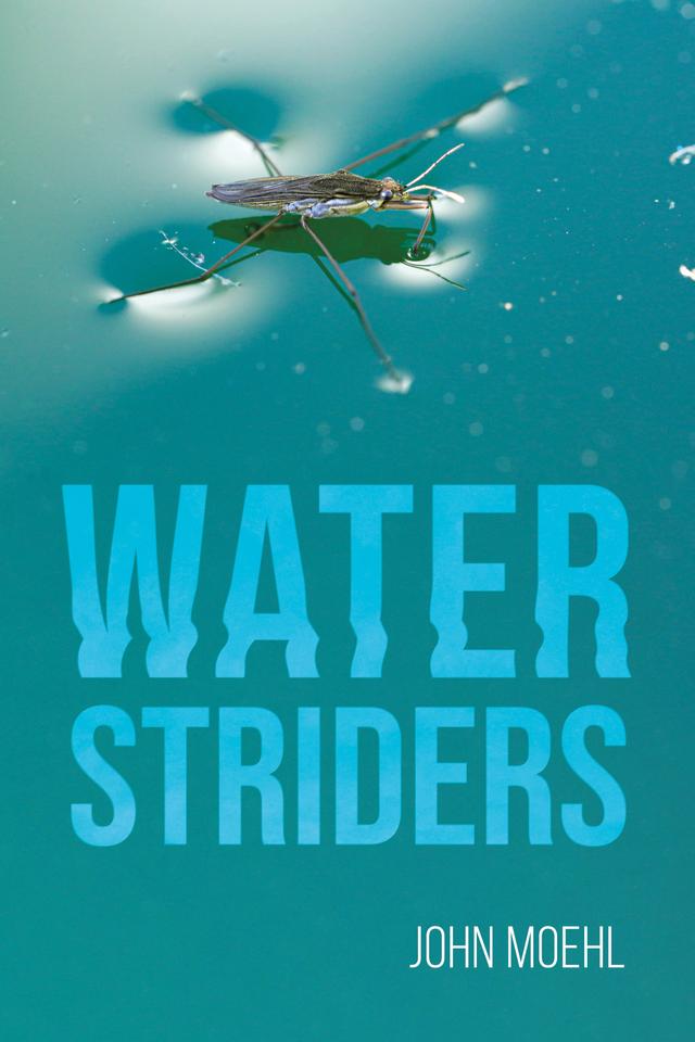 Water Striders by John Moehl