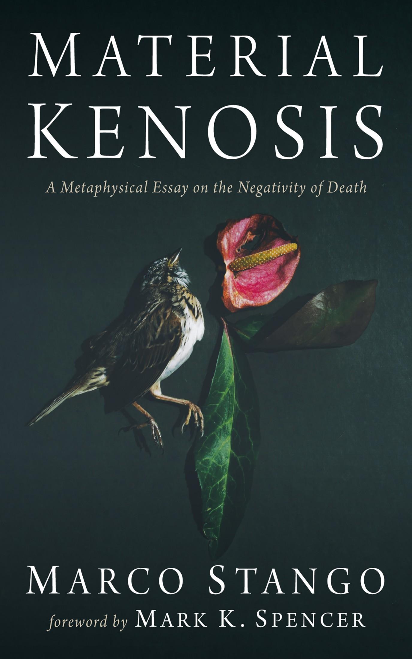 Material Kenosis