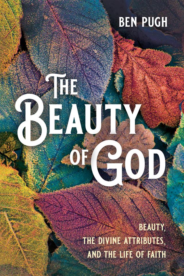 The Beauty of God by Ben Pugh