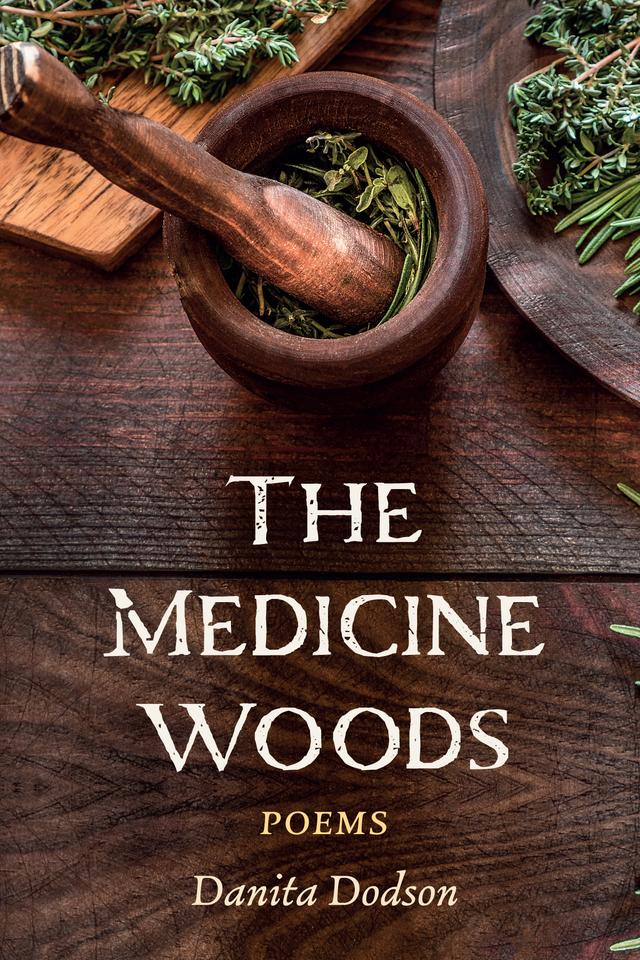 The Medicine Woods by Danita Dodson