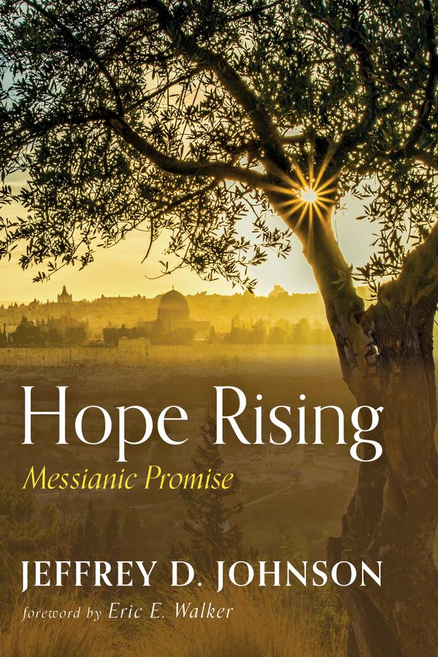 Hope Rising by Eric E. Walker, Jeffrey D. Johnson