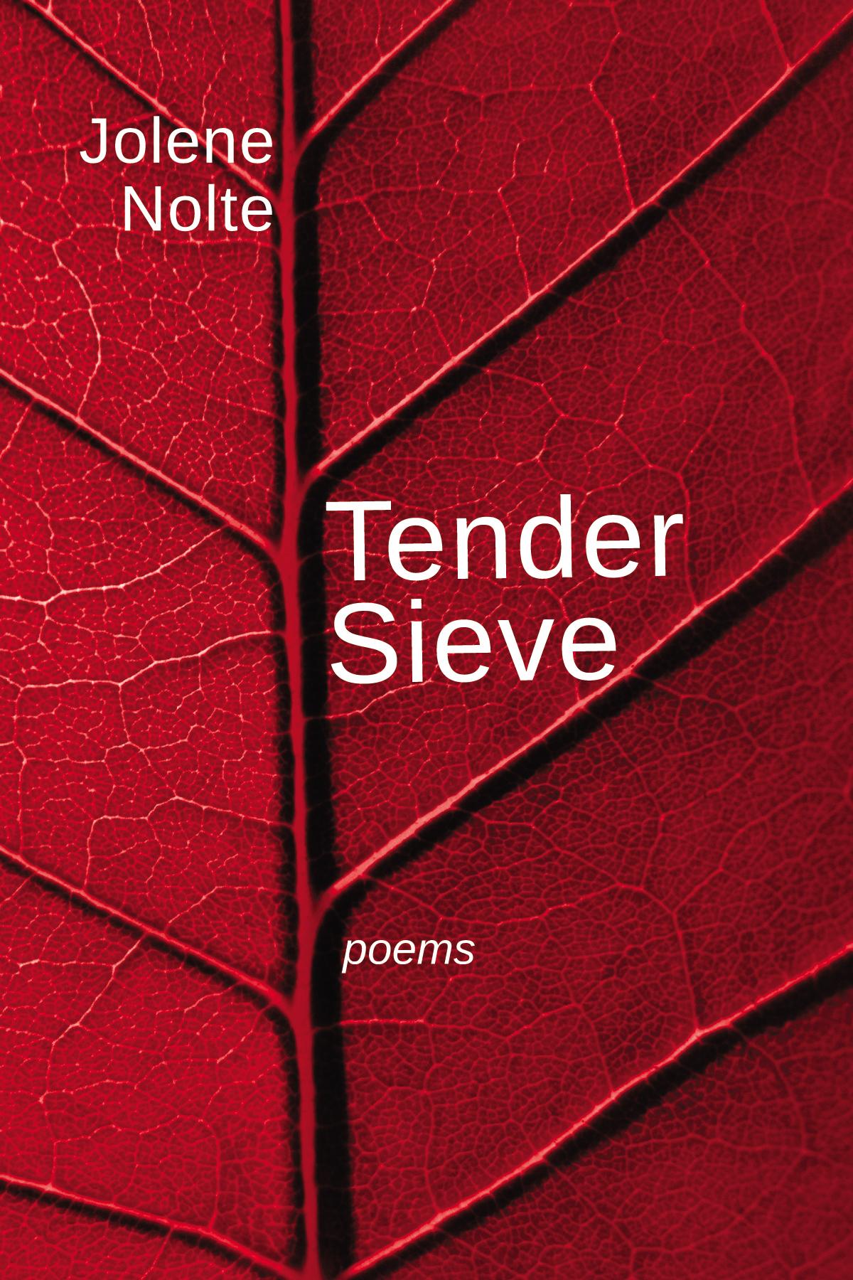 Tender Sieve